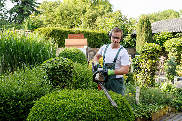 How Our Tree Care Process Works  in  Cliffside Park, NJ